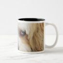 Search for bichon frise mugs Close up
