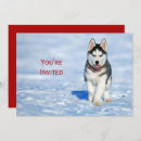 Search for husky invitations Puppy