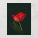 Search for single vertical postcards Flower