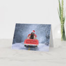 Search for chocolate labrador cards Animal