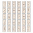 Search for apothecary labels Retro