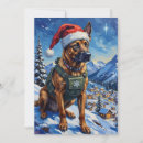 Search for belgian malinois cards Snow
