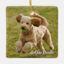 Search for golden doodle christmas tree decorations Cute