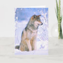 Search for timber wolf cards Animal