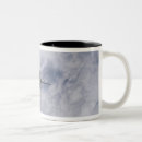 Search for spaceship earth mugs Outdoors