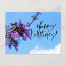 Search for jacaranda Flowers