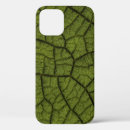 Search for cairns iphone cases Pattern