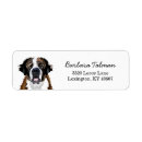 Search for saint return address labels Dog