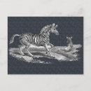 Search for foals postcards Nature