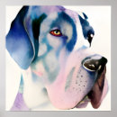 Search for great dane posters Pet