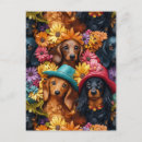 Search for sausage dog postcards Dogs
