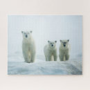 Search for polar bear puzzles Cub