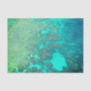 Search for coral reef tissue paper Sea