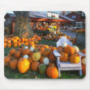 Search for pumpkin mouse mats Gourd