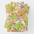 Search for protea flower wrapping paper Botanical