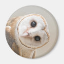 Search for barn magnets Cute