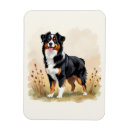 Search for aussie magnets Pets