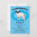 Search for wool of invitations Lamb