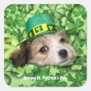 Search for cute shamrock stickers Happy st patrick's day