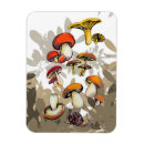 Search for edible magnets Mushroom