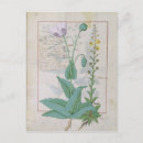 Search for cur postcards Healing