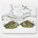 Search for turtle shell mouse mats Animal