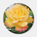 Search for climbing magnets Flower