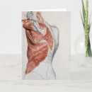 Search for shoulders cards 19th