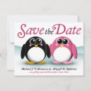Search for penguin weddings Adorable