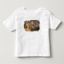 Search for caldera clothing Greek