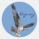 Search for flying fish stickers Osprey
