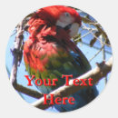 Search for red macaw stickers Colourful
