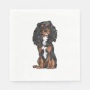 Search for black and tan cavalier king charles spaniel Animal