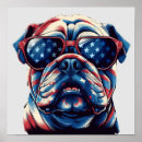 Search for american bulldogs posters English bulldog