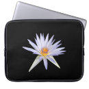 Search for exotic electronics Black