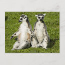 Search for holding hands postcards Cute animals