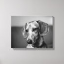 Search for dachshund art Daschund