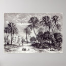 Search for oasis posters Illustration