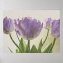 Search for vintage tulip posters Purple