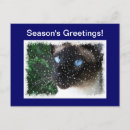 Search for cat in window christmas cards Winter