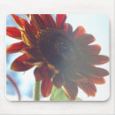 Search for sunflower mouse mats Simple