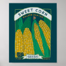 Search for sweet corn art Vegetables