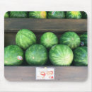 Search for for melon electronics Watermelon