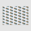 Search for frog illustration Amphibian