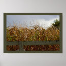 Search for stalk posters Country