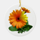 Search for gerbera daisy christmas tree decorations Nature