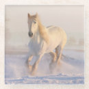 Search for beauty coasters White