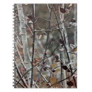 Search for aspen notebooks Nature