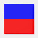 Search for e magnets Flag