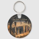 Search for cavern Carlsbad caverns